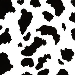 Meet your Posher, Autumn